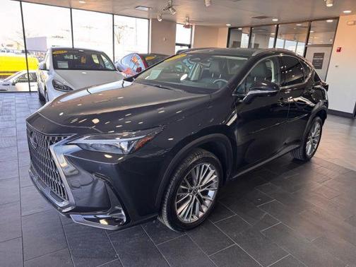 2025 Lexus NX 350 Premium