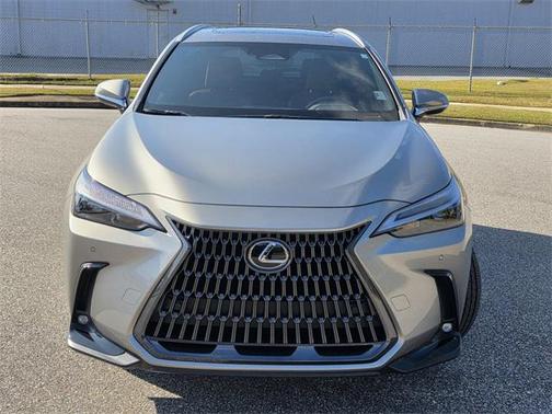 2025 Lexus NX 250 Premium