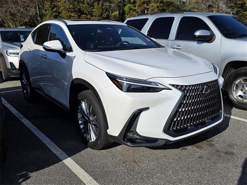 2023 Lexus NX 350h Luxury