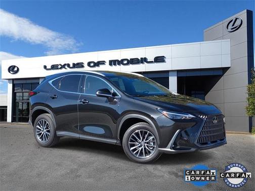 2025 Lexus NX 350 Premium