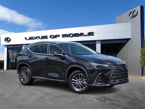 2025 Lexus NX 250 Premium
