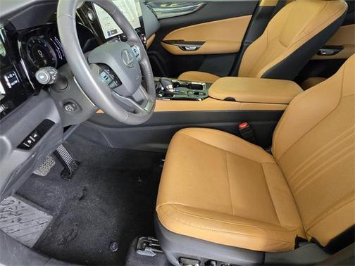2025 Lexus NX 250 Premium
