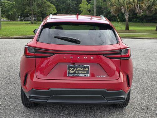 Redline 2025 Lexus NX 250 Premium