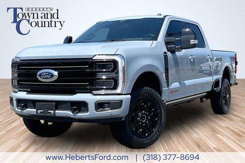 Glacier Gray Metallic Tri-Coat 2025 Ford F-250 Platinum