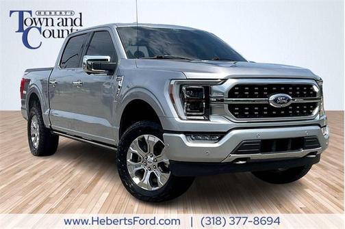 2021 Ford F-150 Platinum