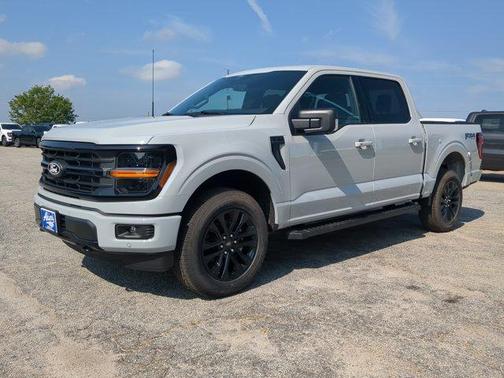 Avalanche Gray 2026 Ford F-150 XLT