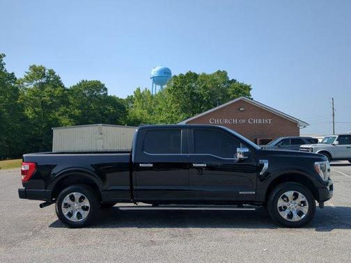 Agate Black Metallic 2021 Ford F-150 Platinum