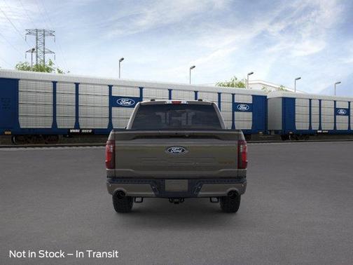 Gray 2026 Ford F-150 Tremor