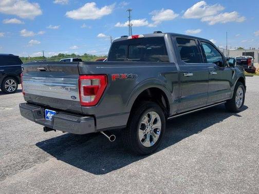 2022 Ford F-150 Platinum