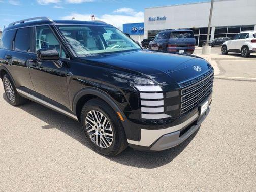 Abyss Black Pearl 2026 Hyundai PALISADE SEL