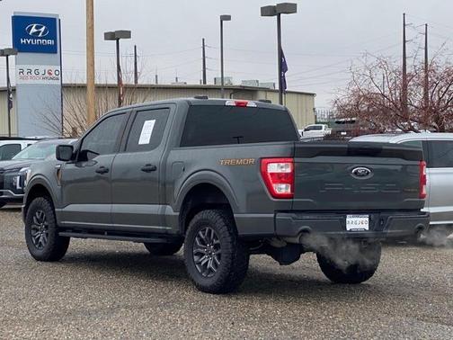 2021 Ford F-150 Tremor