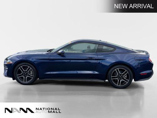 Kona Blue Metallic 2019 Ford Mustang EcoBoost