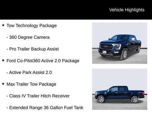 2021 Ford F-150 Platinum