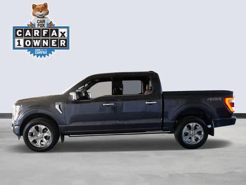 Smoked Quartz Metallic Tinted Clearcoat 2021 Ford F-150 Platinum