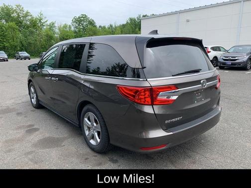 Pewter Metallic 2019 Honda Odyssey EX-L