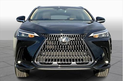 2025 Lexus NX 250 Base