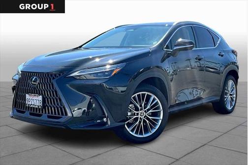2024 Lexus NX 350 Luxury