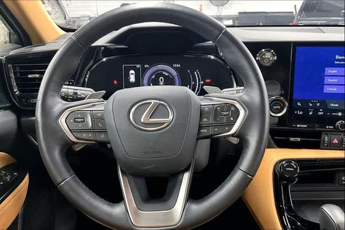 Cloudburst Gray 2025 Lexus NX 350h Premium