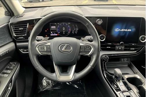 2025 Lexus NX 250 Premium