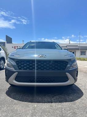 Cactus Fern 2022 Hyundai KONA SEL