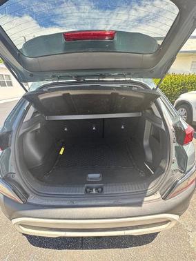 Cactus Fern 2022 Hyundai KONA SEL