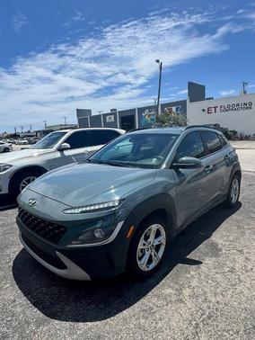 Cactus Fern 2022 Hyundai KONA SEL
