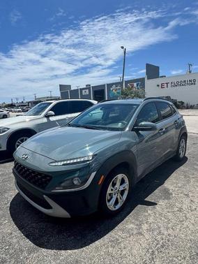 Cactus Fern 2022 Hyundai KONA SEL