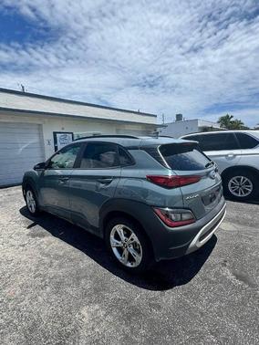 Cactus Fern 2022 Hyundai KONA SEL