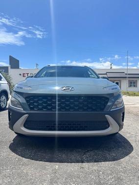 Cactus Fern 2022 Hyundai KONA SEL