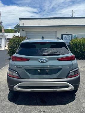 Cactus Fern 2022 Hyundai KONA SEL