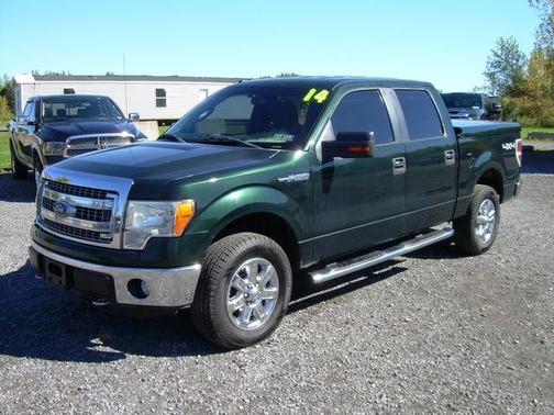 Deep Emerald Green Clearcoat Metallic 2014 Ford F-150 XLT
