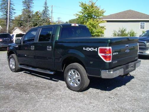 Deep Emerald Green Clearcoat Metallic 2014 Ford F-150 XLT