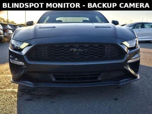 2023 Ford Mustang EcoBoost