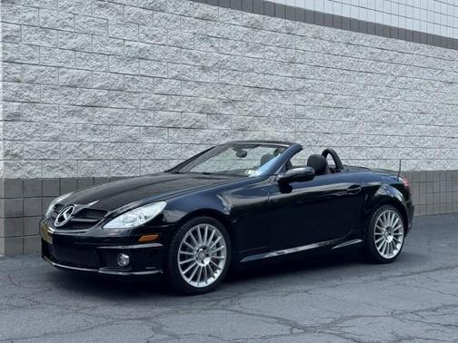 2010 Mercedes-Benz SLK-Class SLK 300