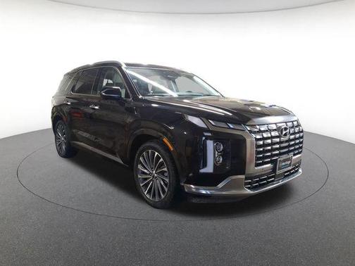 Abyss Black Pearl 2023 Hyundai PALISADE Calligraphy