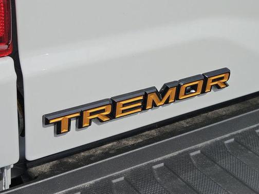 Avalanche 2026 Ford F-150 Tremor