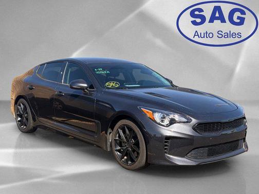 Panthera Metal 2019 Kia Stinger Base