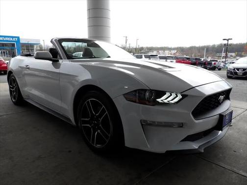 2023 Ford Mustang EcoBoost