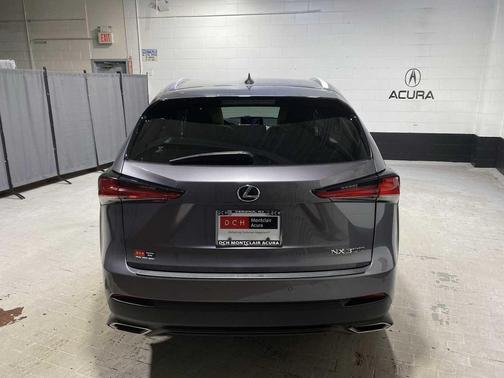 Nebula Gray Pearl 2020 Lexus NX 300 Base