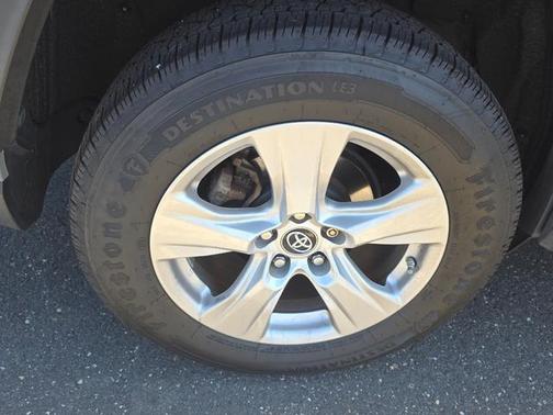 Lunar Rock 2019 Toyota RAV4 XLE