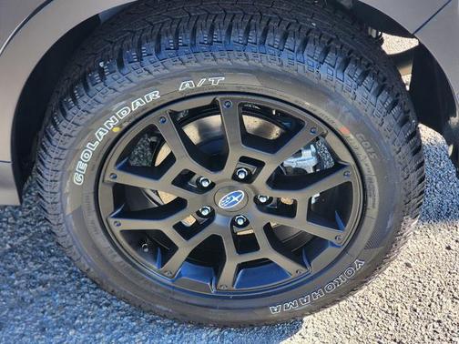 2025 Subaru Crosstrek Wilderness
