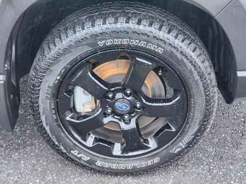 2025 Subaru Forester Wilderness