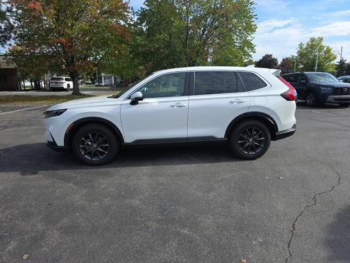 Platinum White Pearl 2026 Honda CR-V EX-L AWD