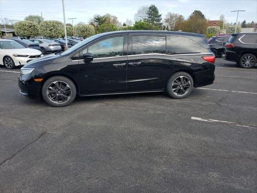 2024 Honda Odyssey Elite