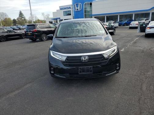 2024 Honda Odyssey Elite