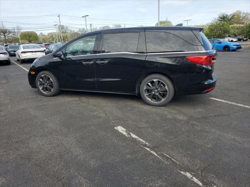 2024 Honda Odyssey Elite