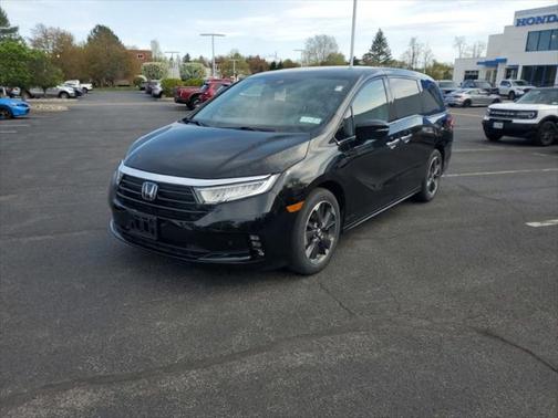 2024 Honda Odyssey Elite