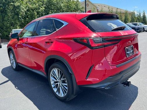 Redline 2023 Lexus NX 350 Luxury