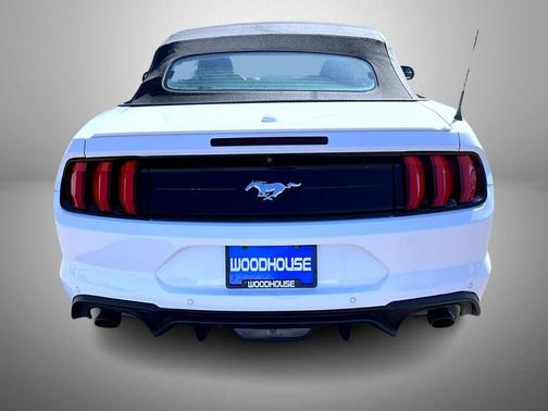 2019 Ford Mustang EcoBoost Premium