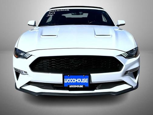 2019 Ford Mustang EcoBoost Premium
